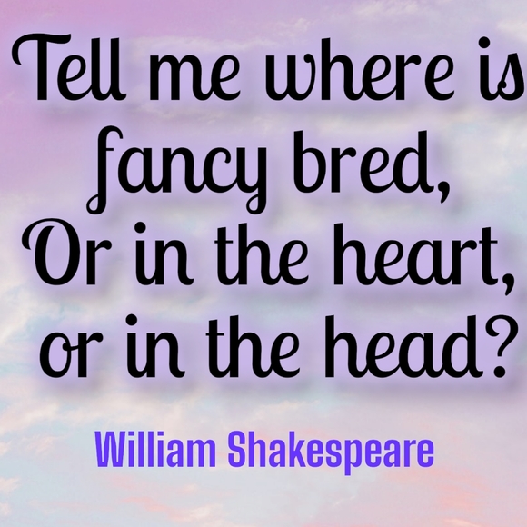 FancySwap 💕💕 - Picture 10 of 16